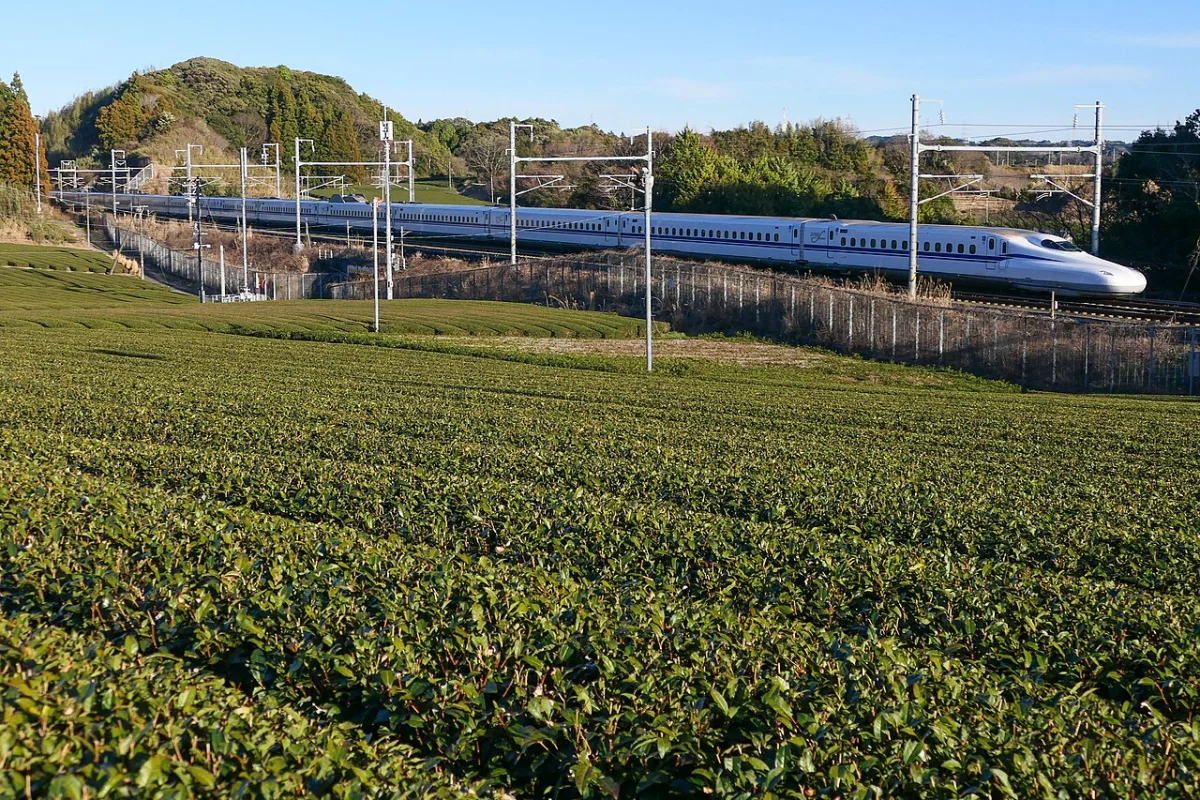 Shinkansen S0 : JR Central dévoile le successeur du N700S, en service en 2029