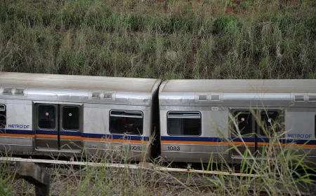 Brasília metro tender covers 15 new trains