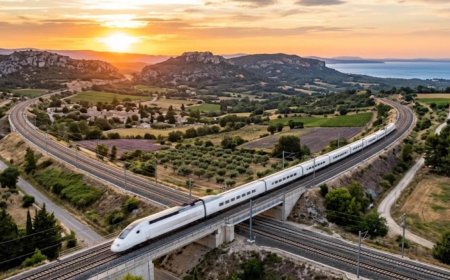 Paris to Marseille by train: TGV, OUIGO or Frecciarossa, times and fares